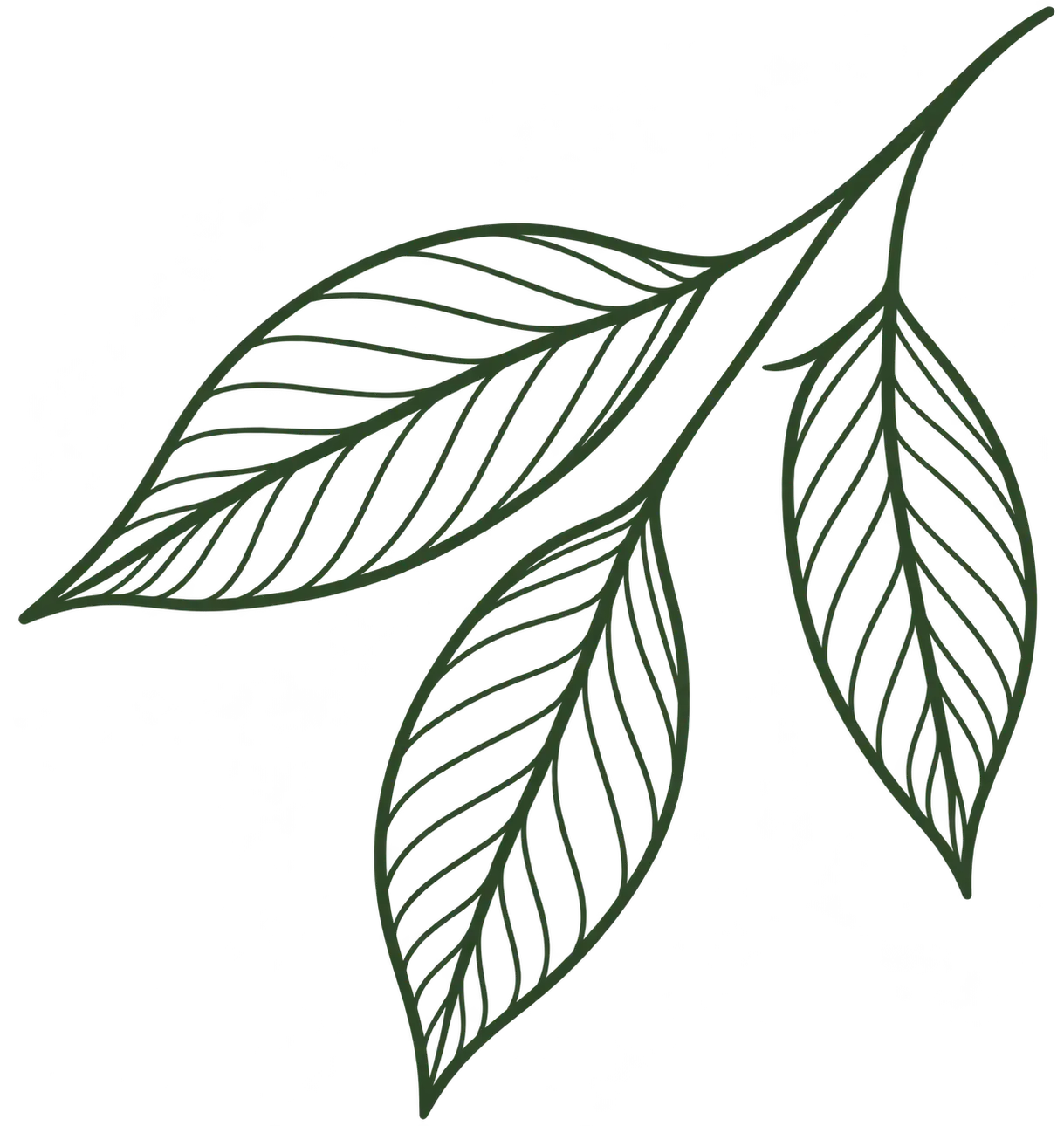 Decorative Leaf