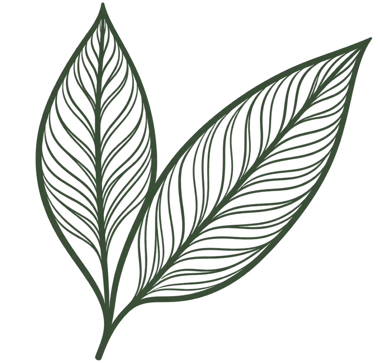 Leaves Logo